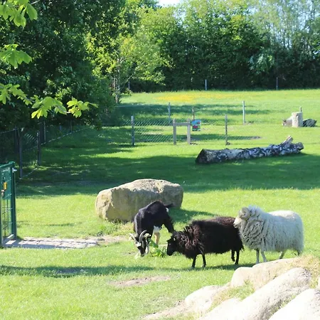 Ostseeferien Am Barfusspark شقة *